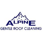 Alpine Roofing