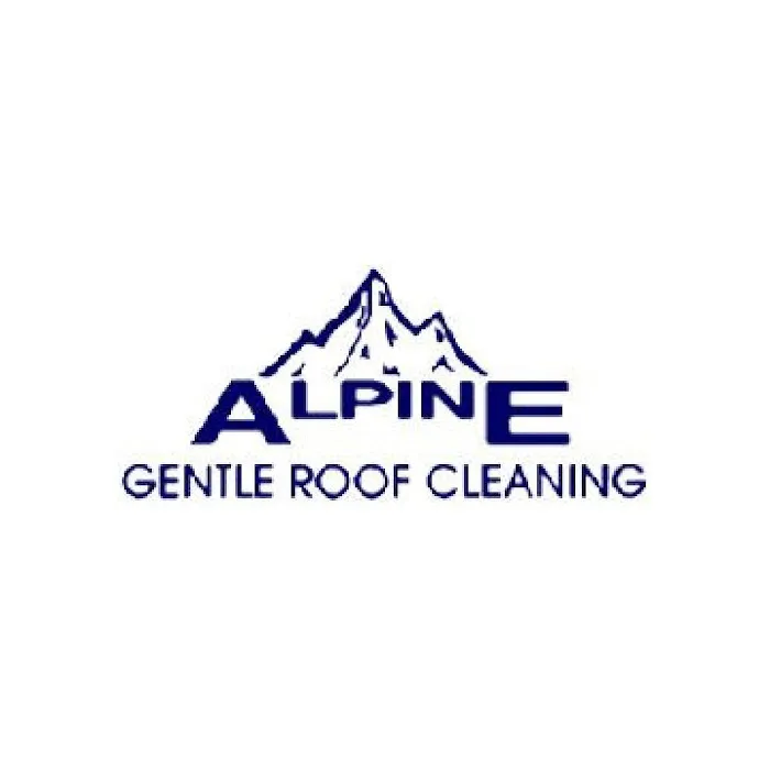 Alpine Roofing Picture 4