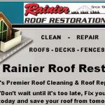 SAVI.........Rainier Roof Restoration