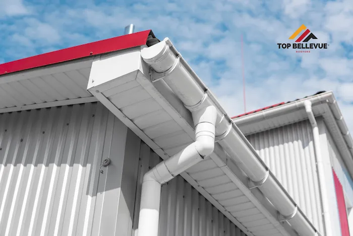 Top Bellevue Roofers Picture 2