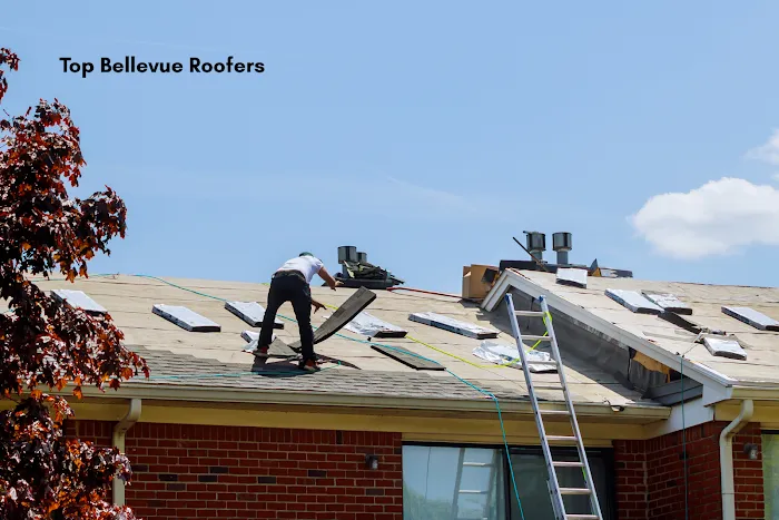 Top Bellevue Roofers Picture 5