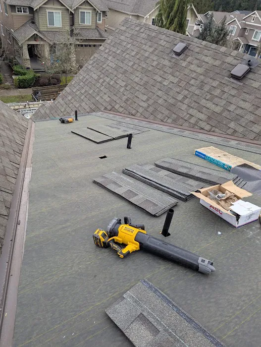 BEL-RED ROOFING LLC Picture 4