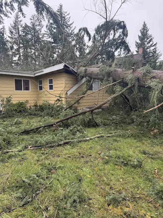 Waterproof Roofing and Construction Llc Picture 5