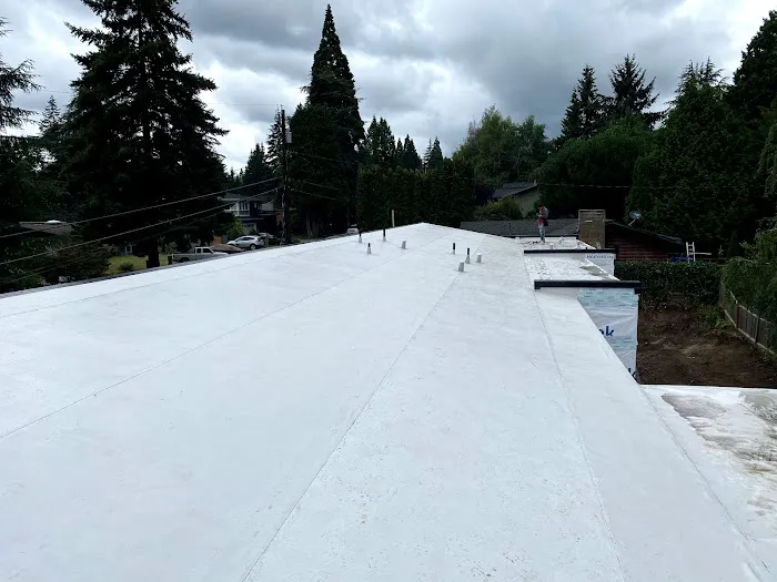 Mass & Mass Roofing and Repairs Picture 1