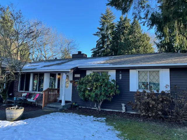 Squatch Roofing Picture 2