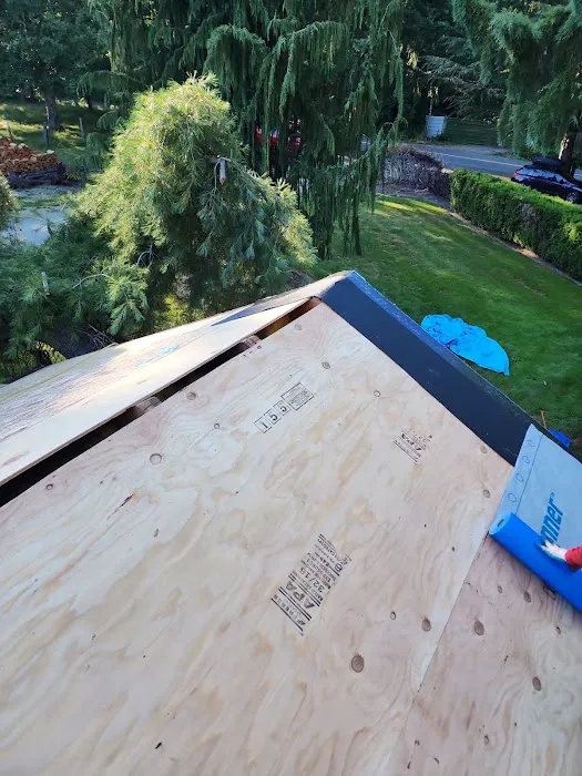 Squatch Roofing Picture 4