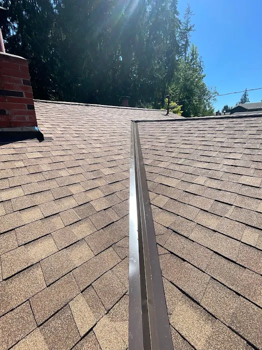 Squatch Roofing Picture 8