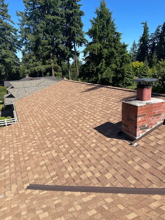 Squatch Roofing Picture 6