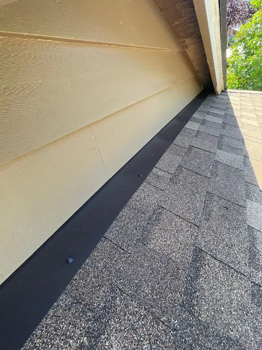 Squatch Roofing Picture 5