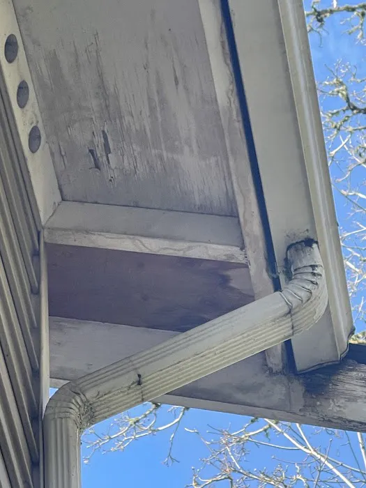 Roof Today Picture 1