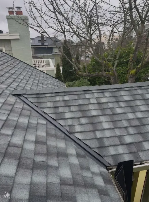 Roof Today Picture 9