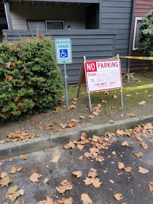 Star Roofing & Construction, Inc Picture 1