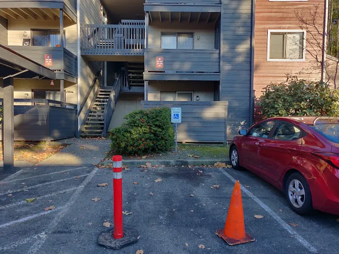 Star Roofing & Construction, Inc Picture 2