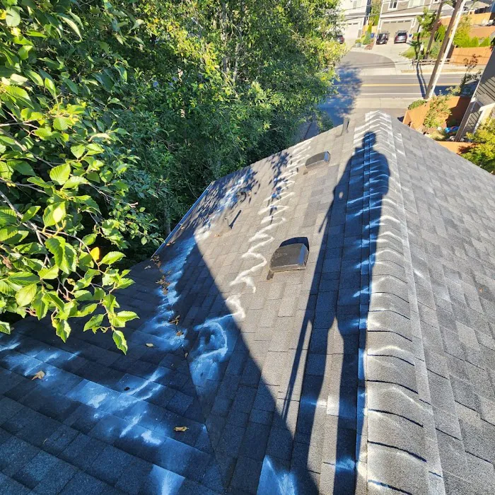 Rugged Roofing Picture 8