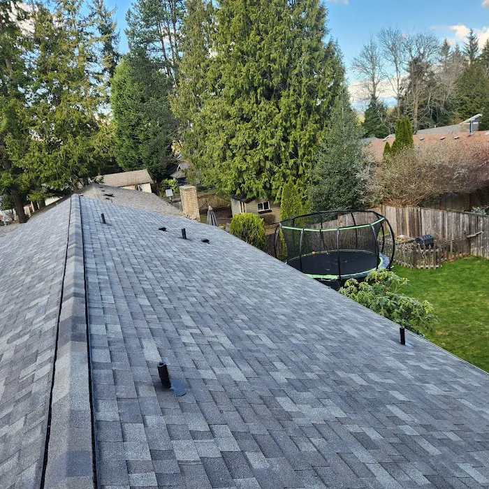 Rugged Roofing Picture 3