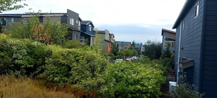 Rugged Roofing Picture 5