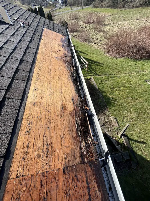Blitz Roofing Picture 5