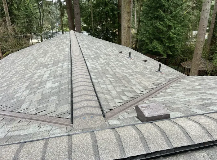 Blitz Roofing Picture 3