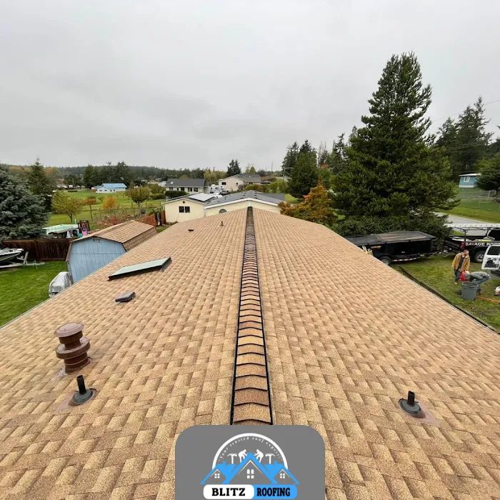 Blitz Roofing Picture 6