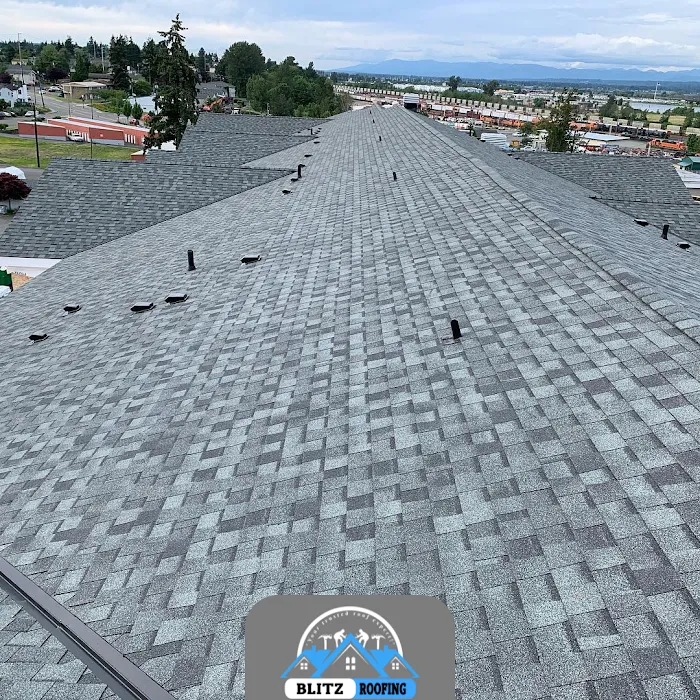 Blitz Roofing Picture 10