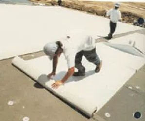 Roofing Specialists Northwest Picture 4