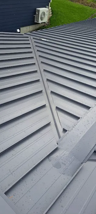 Speedy Roofing Inc Picture 7