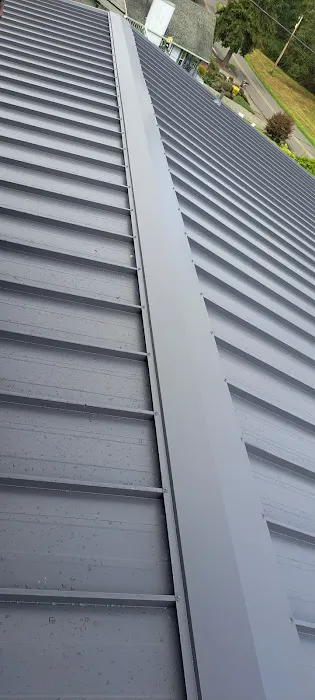 Speedy Roofing Inc Picture 5