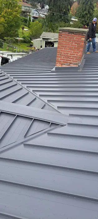 Speedy Roofing Inc Picture 3