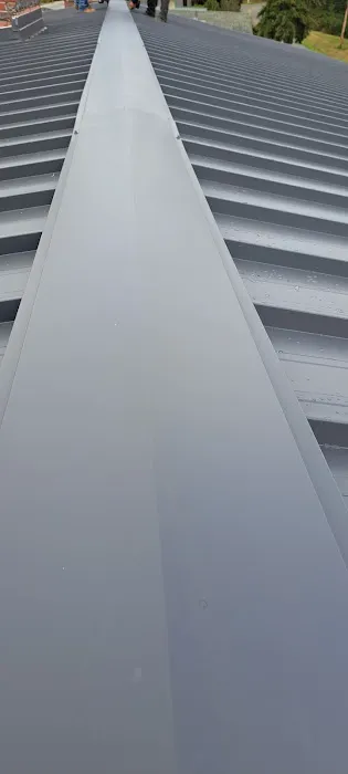 Speedy Roofing Inc Picture 2