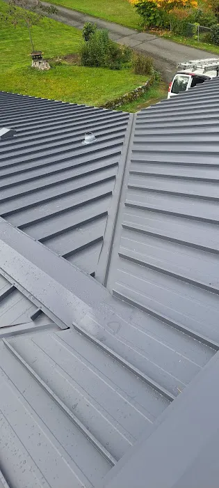 Speedy Roofing Inc Picture 4