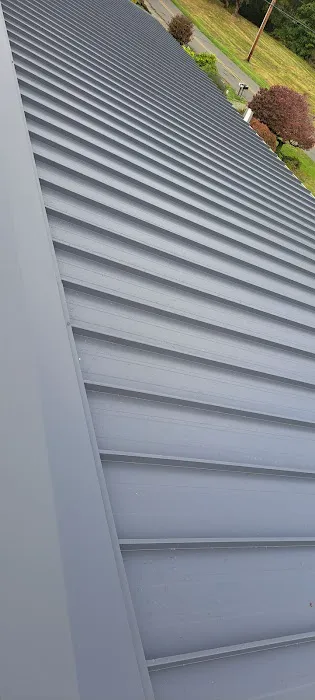 Speedy Roofing Inc Picture 8