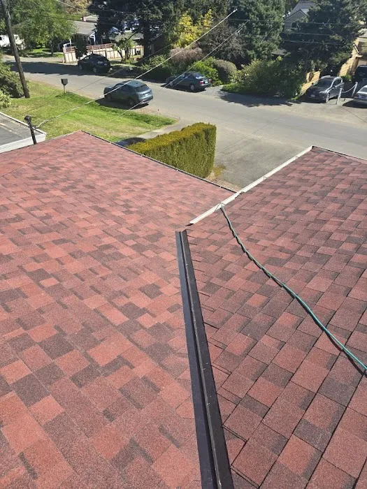 Soczek Roofing Picture 8
