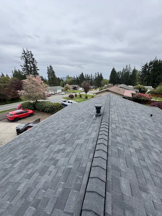 Phoenix roofing and exterior Picture 1