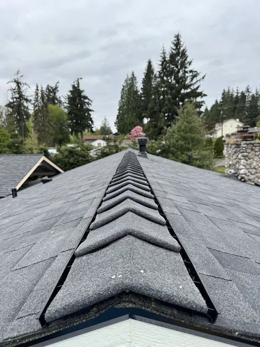 Phoenix roofing and exterior Picture 2