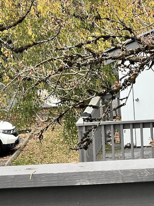 Valdez Roofing Picture 1