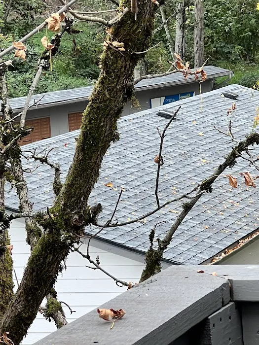 Valdez Roofing Picture 3