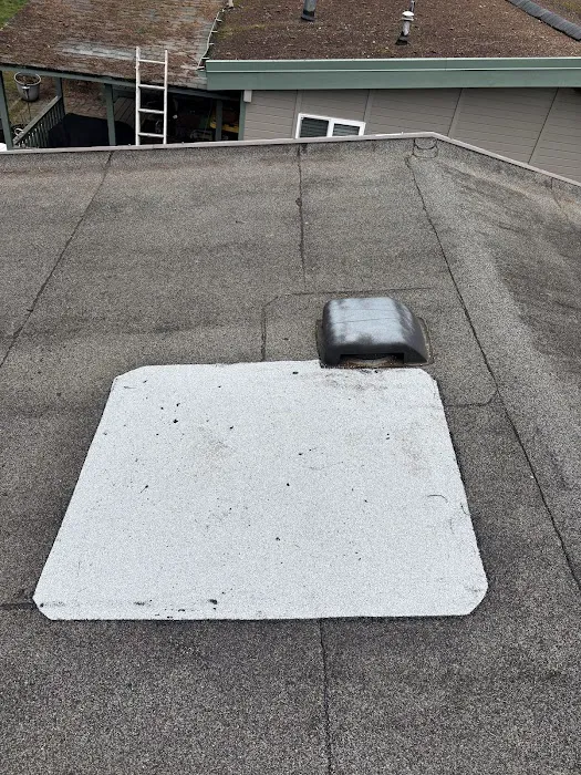 Forever Roofing Picture 3