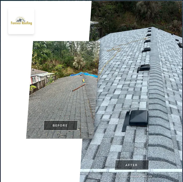 Forever Roofing Picture 7