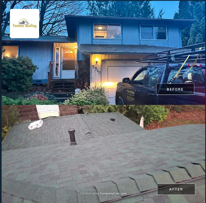 Forever Roofing Picture 8