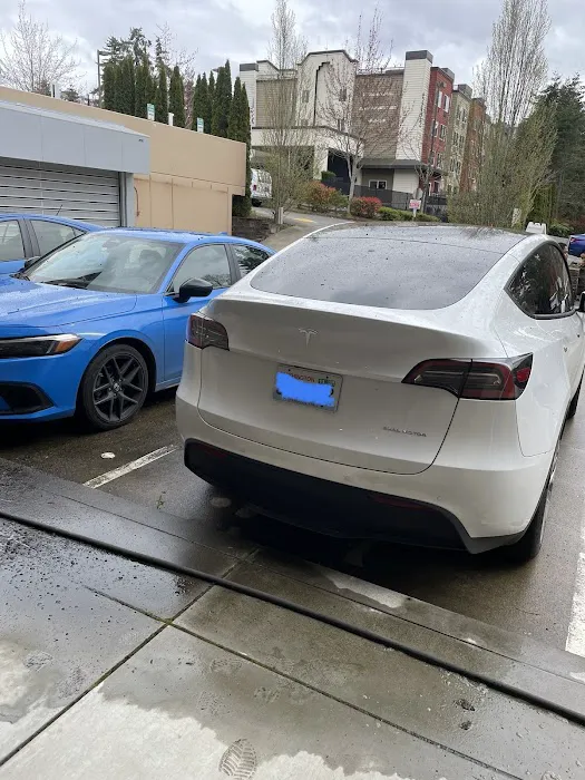 Magic Services LLC Picture 3