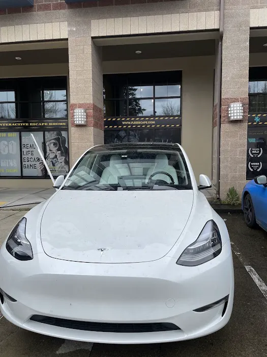 Magic Services LLC Picture 8