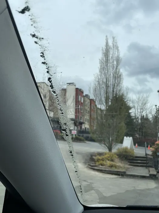 Magic Services LLC Picture 4