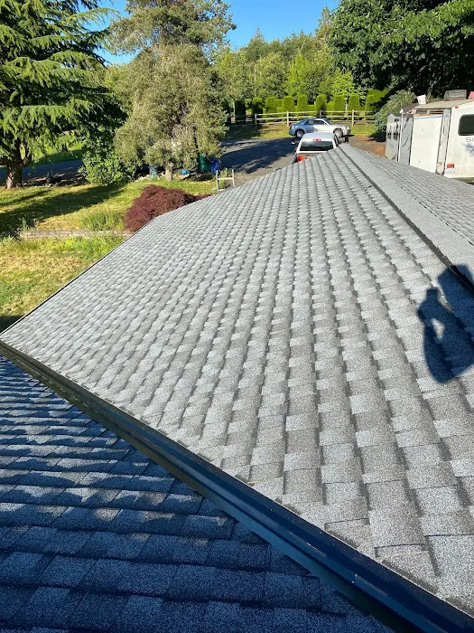 Reyes Roofing & Siding LLC Picture 5