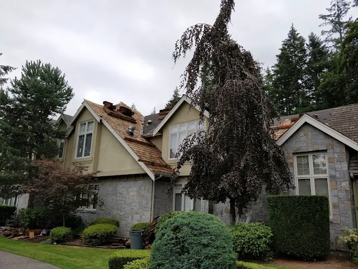 Redmond Roofing Picture 9