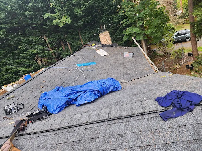 Magnabosco's Roofing & Repairs LLC Picture 1