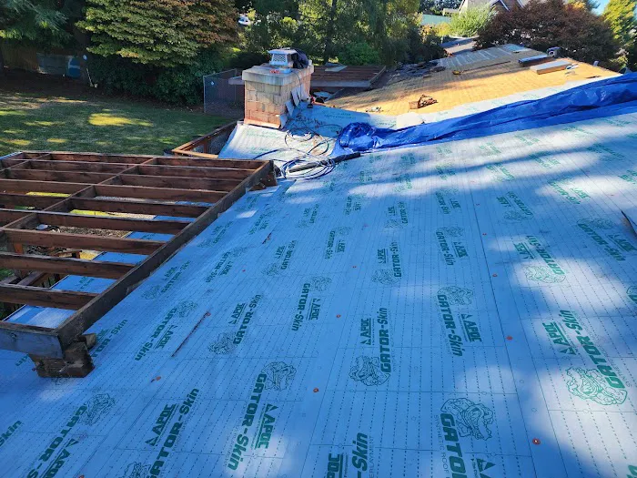 Magnabosco's Roofing & Repairs LLC Picture 3