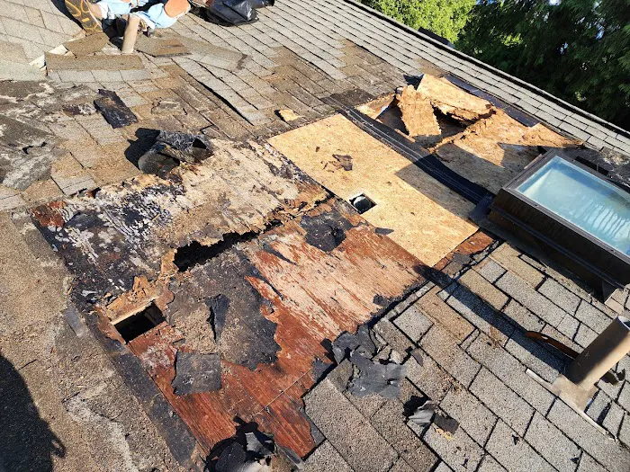 Magnabosco's Roofing & Repairs LLC Picture 9