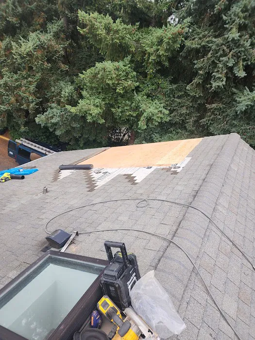 Magnabosco's Roofing & Repairs LLC Picture 7