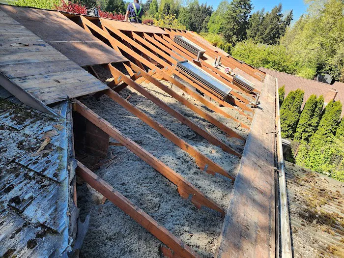 Magnabosco's Roofing & Repairs LLC Picture 5