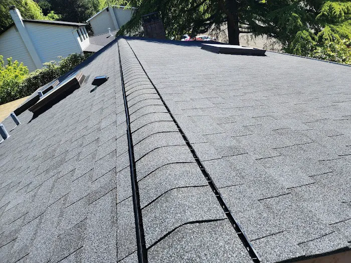 Magnabosco's Roofing & Repairs LLC Picture 2